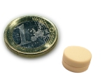 Neodym Magnet Ø 12,7 x 6,3 mm mit Kunststoffmantel - hält 2 kg - weiss