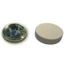 Neodym Magnet Ø 22,0 x 6,0 mm mit Kunststoffmantel - hält 4,2 kg - weiss